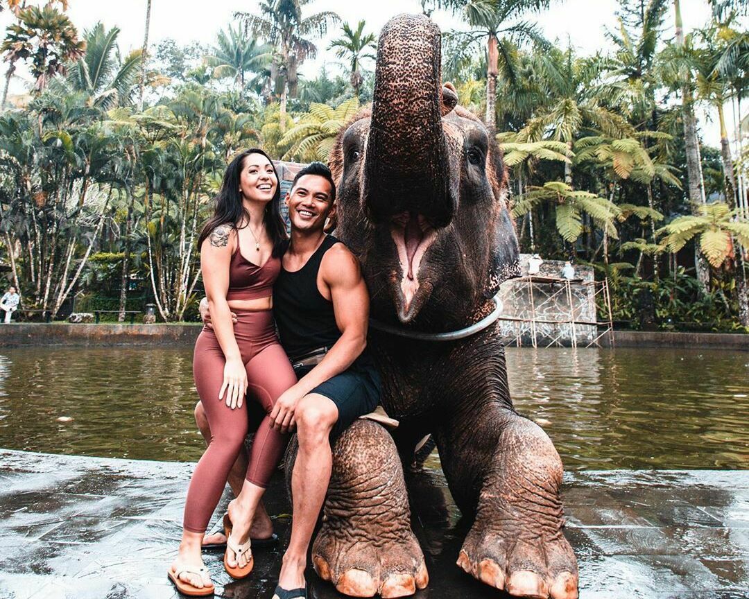 <p>Утро со слонами</p>