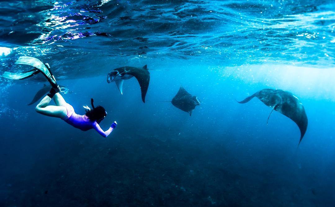 <p>Однодневный тур & Снорклинг</p>