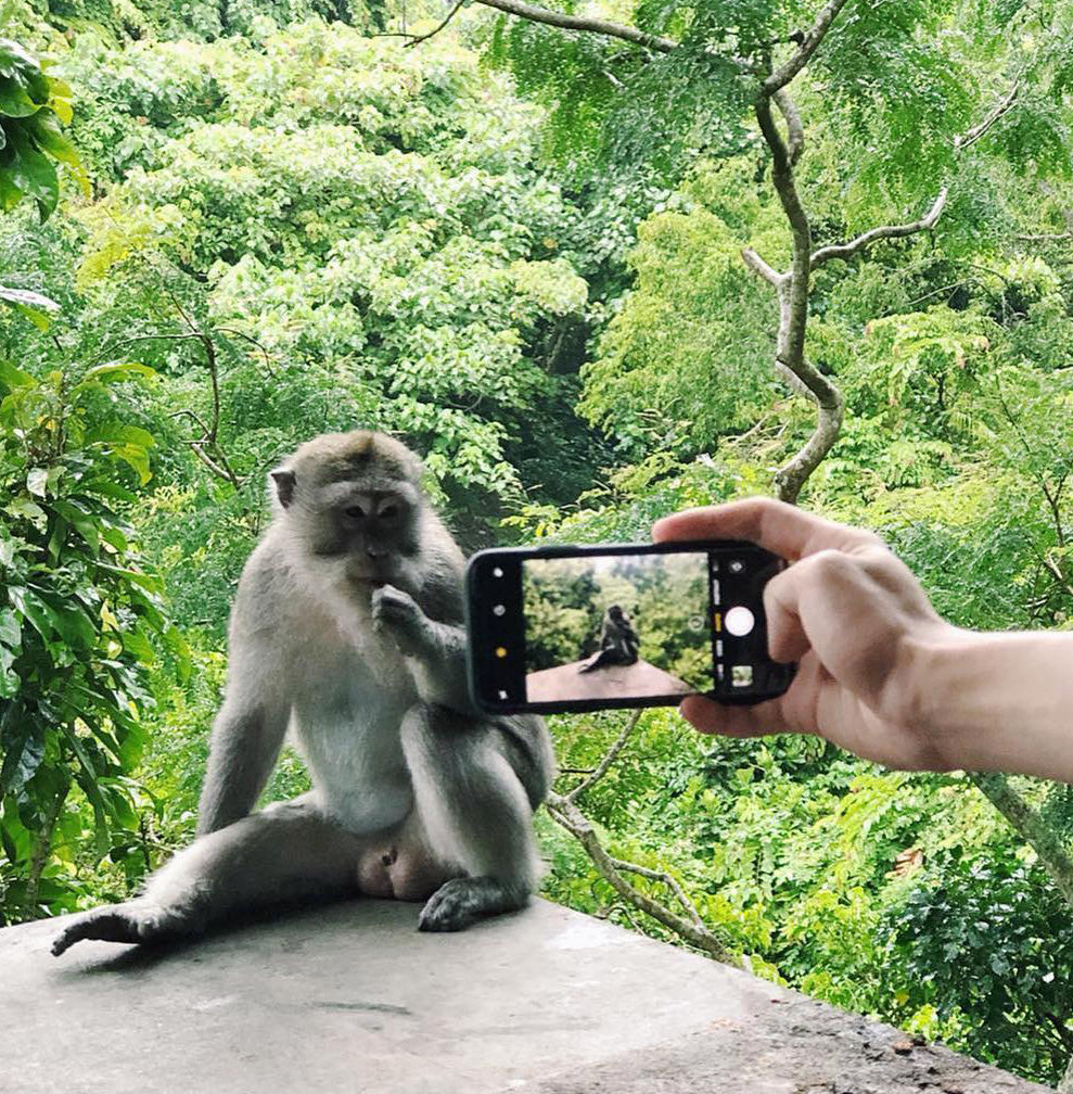 <p>Загадочный Убуд</p>